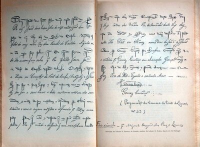 Uma das muitas cópias paleográficas dos documentos antigos do Município de Ponte de Lima